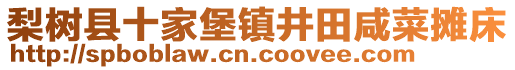 梨樹(shù)縣十家堡鎮(zhèn)井田咸菜攤床