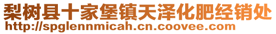 梨樹縣十家堡鎮(zhèn)天澤化肥經(jīng)銷處