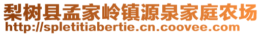 梨樹縣孟家?guī)X鎮(zhèn)源泉家庭農(nóng)場