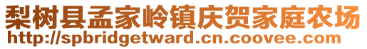 梨樹縣孟家?guī)X鎮(zhèn)慶賀家庭農(nóng)場