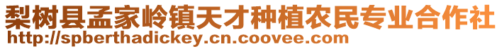 梨樹縣孟家?guī)X鎮(zhèn)天才種植農(nóng)民專業(yè)合作社