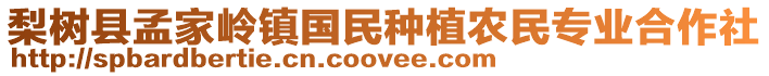 梨樹縣孟家?guī)X鎮(zhèn)國民種植農(nóng)民專業(yè)合作社