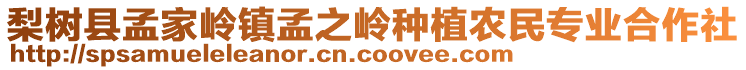 梨樹(shù)縣孟家?guī)X鎮(zhèn)孟之嶺種植農(nóng)民專業(yè)合作社