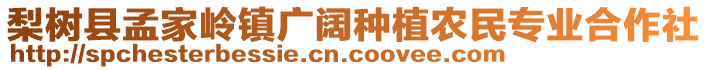 梨樹縣孟家?guī)X鎮(zhèn)廣闊種植農(nóng)民專業(yè)合作社