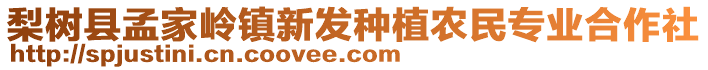 梨樹(shù)縣孟家?guī)X鎮(zhèn)新發(fā)種植農(nóng)民專(zhuān)業(yè)合作社