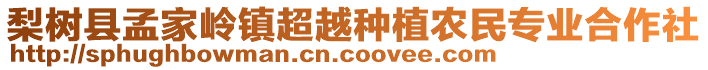 梨樹縣孟家?guī)X鎮(zhèn)超越種植農(nóng)民專業(yè)合作社