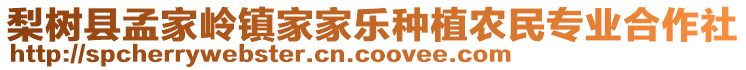 梨樹縣孟家?guī)X鎮(zhèn)家家樂種植農(nóng)民專業(yè)合作社