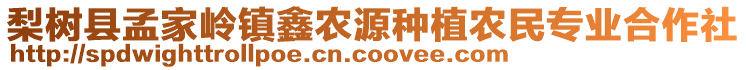 梨樹(shù)縣孟家?guī)X鎮(zhèn)鑫農(nóng)源種植農(nóng)民專(zhuān)業(yè)合作社