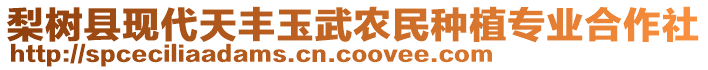 梨樹縣現(xiàn)代天豐玉武農(nóng)民種植專業(yè)合作社