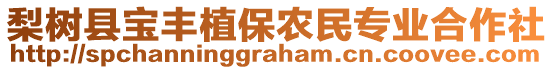 梨樹縣寶豐植保農(nóng)民專業(yè)合作社