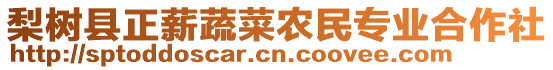 梨樹縣正薪蔬菜農民專業合作社