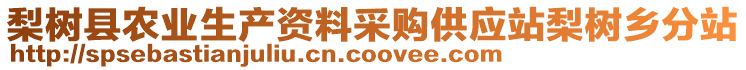 梨樹縣農(nóng)業(yè)生產(chǎn)資料采購(gòu)供應(yīng)站梨樹鄉(xiāng)分站