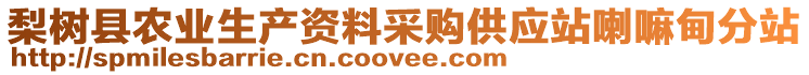 梨樹縣農(nóng)業(yè)生產(chǎn)資料采購(gòu)供應(yīng)站喇嘛甸分站