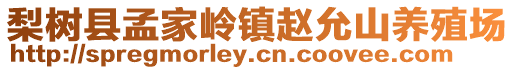 梨樹縣孟家?guī)X鎮(zhèn)趙允山養(yǎng)殖場