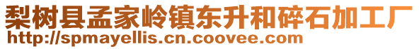 梨樹(shù)縣孟家?guī)X鎮(zhèn)東升和碎石加工廠