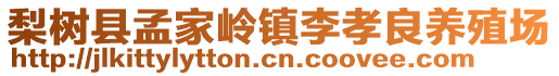 梨樹縣孟家?guī)X鎮(zhèn)李孝良養(yǎng)殖場