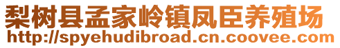 梨樹(shù)縣孟家?guī)X鎮(zhèn)鳳臣養(yǎng)殖場(chǎng)