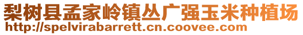 梨樹縣孟家?guī)X鎮(zhèn)叢廣強(qiáng)玉米種植場(chǎng)