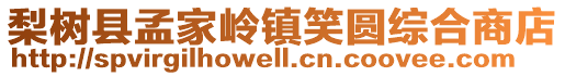 梨樹縣孟家嶺鎮笑圓綜合商店
