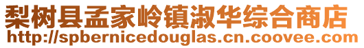 梨樹縣孟家?guī)X鎮(zhèn)淑華綜合商店