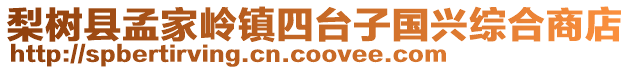 梨樹縣孟家?guī)X鎮(zhèn)四臺子國興綜合商店