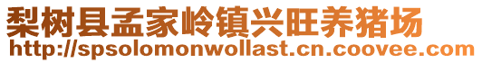 梨樹縣孟家嶺鎮興旺養豬場