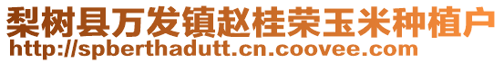 梨樹縣萬發鎮趙桂榮玉米種植戶