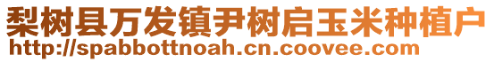 梨樹縣萬發(fā)鎮(zhèn)尹樹啟玉米種植戶