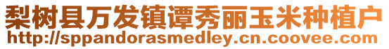 梨樹縣萬發(fā)鎮(zhèn)譚秀麗玉米種植戶