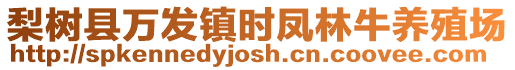 梨樹縣萬發鎮時鳳林牛養殖場