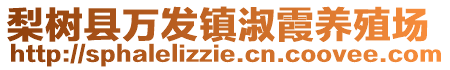 梨樹縣萬發鎮淑霞養殖場