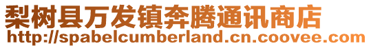 梨樹縣萬發鎮奔騰通訊商店