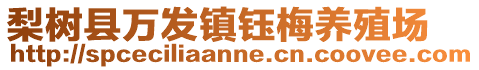 梨樹縣萬發(fā)鎮(zhèn)鈺梅養(yǎng)殖場