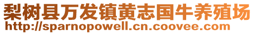 梨樹縣萬發(fā)鎮(zhèn)黃志國牛養(yǎng)殖場