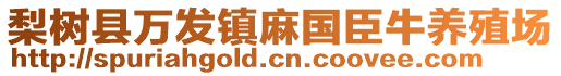 梨樹縣萬發(fā)鎮(zhèn)麻國臣牛養(yǎng)殖場