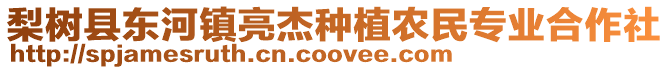 梨樹縣東河鎮亮杰種植農民專業合作社