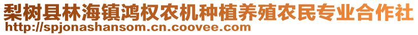 梨樹縣林海鎮(zhèn)鴻權農機種植養(yǎng)殖農民專業(yè)合作社