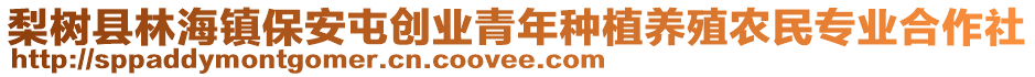 梨樹縣林海鎮(zhèn)保安屯創(chuàng)業(yè)青年種植養(yǎng)殖農民專業(yè)合作社