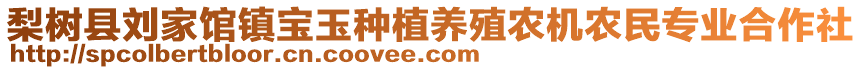 梨樹縣劉家館鎮(zhèn)寶玉種植養(yǎng)殖農(nóng)機(jī)農(nóng)民專業(yè)合作社