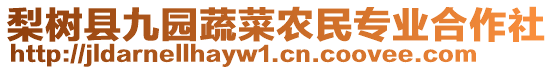 梨樹縣九園蔬菜農民專業合作社