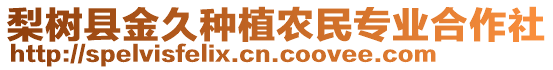 梨樹縣金久種植農民專業合作社