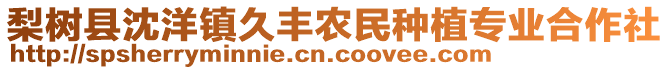 梨樹縣沈洋鎮久豐農民種植專業合作社