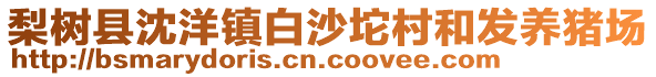 梨樹(shù)縣沈洋鎮(zhèn)白沙坨村和發(fā)養(yǎng)豬場(chǎng)