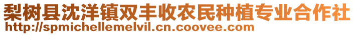 梨樹縣沈洋鎮(zhèn)雙豐收農(nóng)民種植專業(yè)合作社