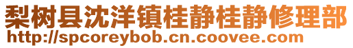 梨樹縣沈洋鎮(zhèn)桂靜桂靜修理部