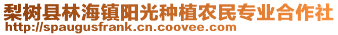 梨樹(shù)縣林海鎮(zhèn)陽(yáng)光種植農(nóng)民專業(yè)合作社