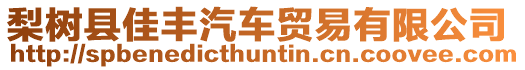 梨樹縣佳豐汽車貿(mào)易有限公司