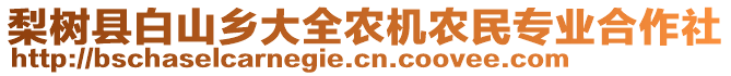 梨樹(shù)縣白山鄉(xiāng)大全農(nóng)機(jī)農(nóng)民專(zhuān)業(yè)合作社