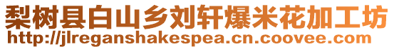 梨樹縣白山鄉(xiāng)劉軒爆米花加工坊