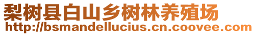 梨樹(shù)縣白山鄉(xiāng)樹(shù)林養(yǎng)殖場(chǎng)